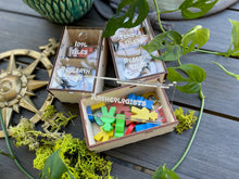 Load image into Gallery viewer, Game Organizer for Lost Ruins of Arnak + Expansion