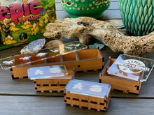 Load image into Gallery viewer, Game Box Insert for Tiny Epic Dinosaurs