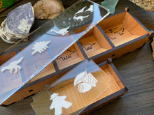 Load image into Gallery viewer, Game Box Insert for Tiny Epic Dinosaurs